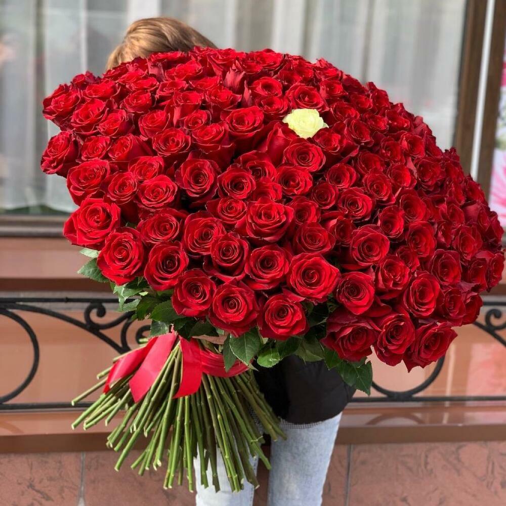 Шикарный букет 151 роза Эквадор 80 см Шикарный букет 151 роза Эквадор 80 см
