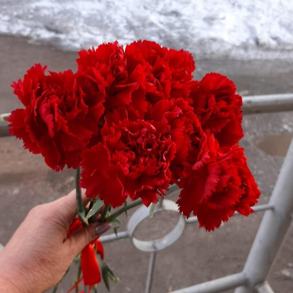 Букет из семи красных гвоздик